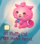 611 Fluffy Cat